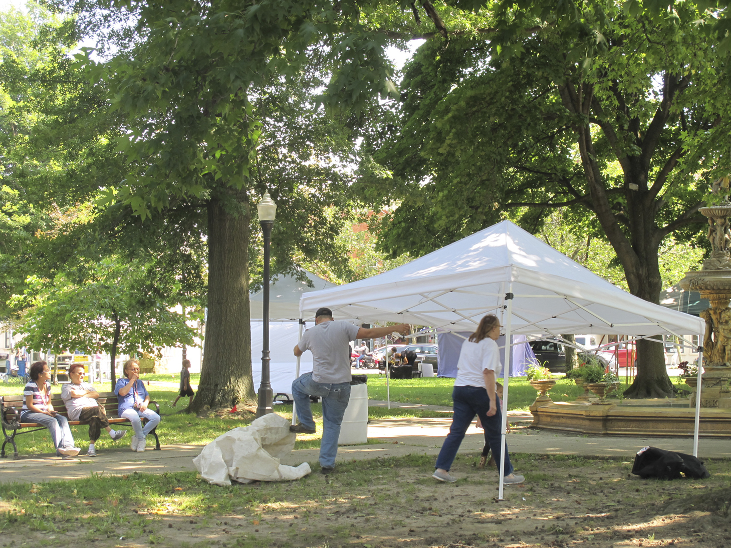 Ready for the Fredonia Farm Fest News, Sports, Jobs Observer Today